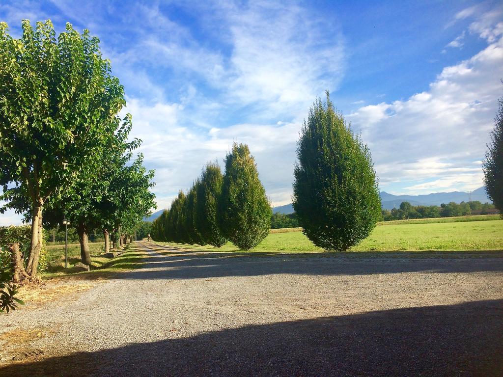 Agriturismo Ca Del Lupo Pallazzolo sull'Oglio Eksteriør billede